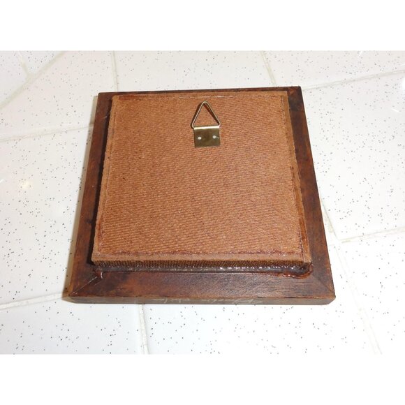 Vintage Wood Framed Orange Sulphur Butterfly oddity curiosity insect bug - Picture 13 of 13